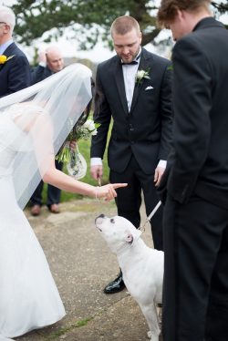 Bride telling off the dog and making him sit