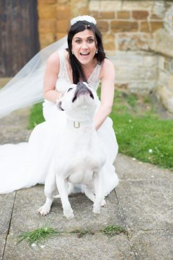Bride with dog Babs